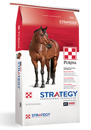 Strategy GX Horse Feed