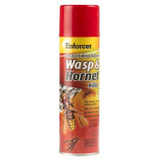 Enforcer Wasp & Hornet Spray